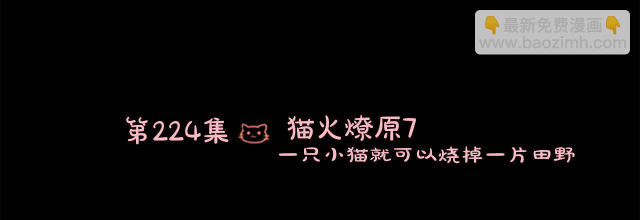 哥哥~請你收養喵 - 第224話 貓火燎原7(1/2) - 5