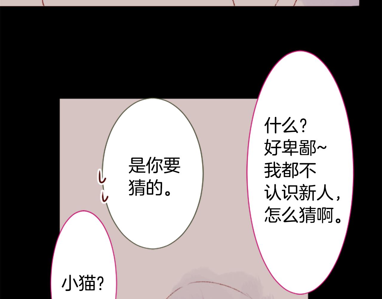 哥哥~请你收养喵 - 第240话 愉快的庆典准备 - 1