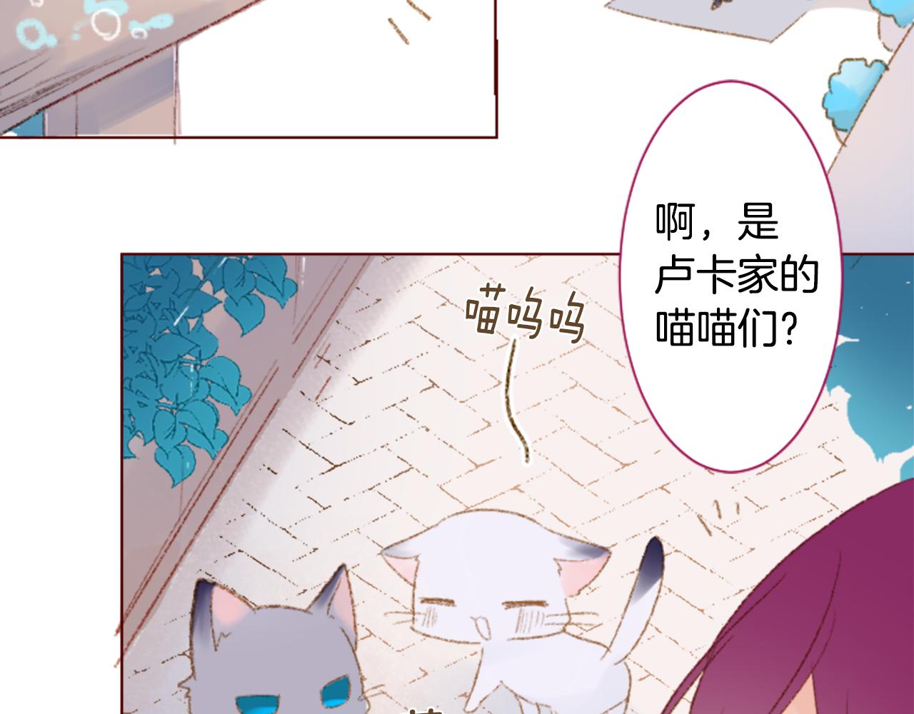 哥哥~請你收養喵 - 第250話 歡迎來到秘密茶會(1/2) - 4