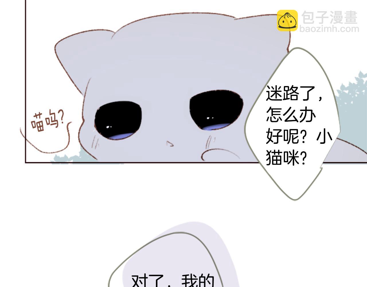 哥哥~請你收養喵 - 第250話 歡迎來到秘密茶會(2/2) - 1