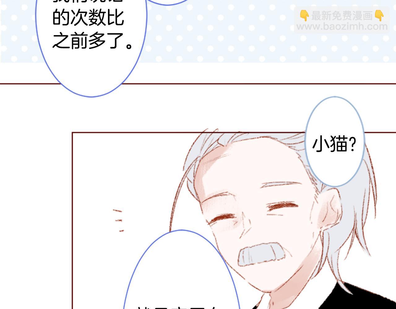 哥哥~請你收養喵 - 第254話 突襲的memory blue(1/2) - 5
