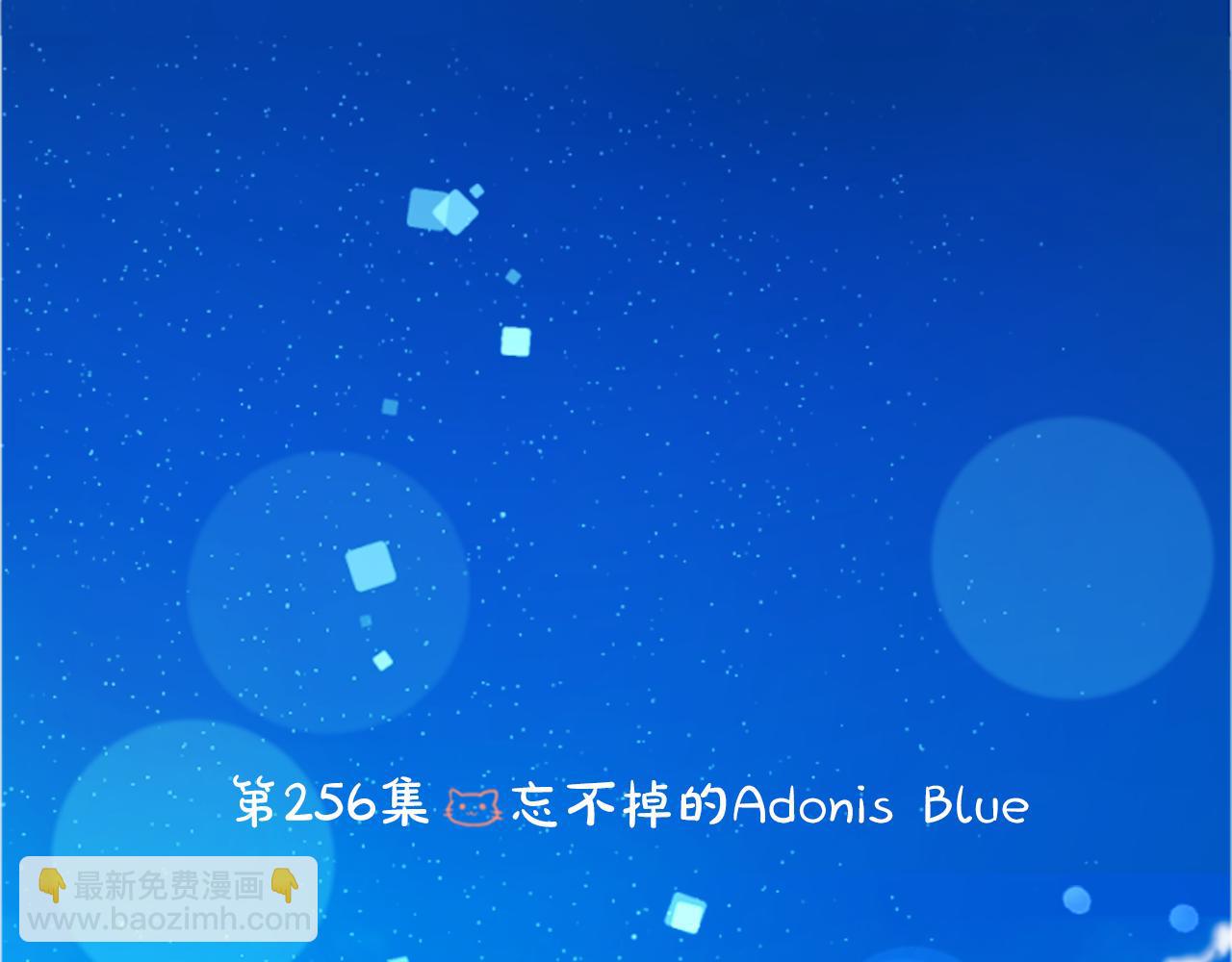 哥哥~請你收養喵 - 第256話 忘不掉的Adonis blue - 6
