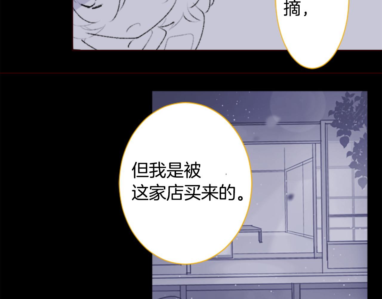 哥哥~請你收養喵 - 第268話 要一起回去(1/2) - 3