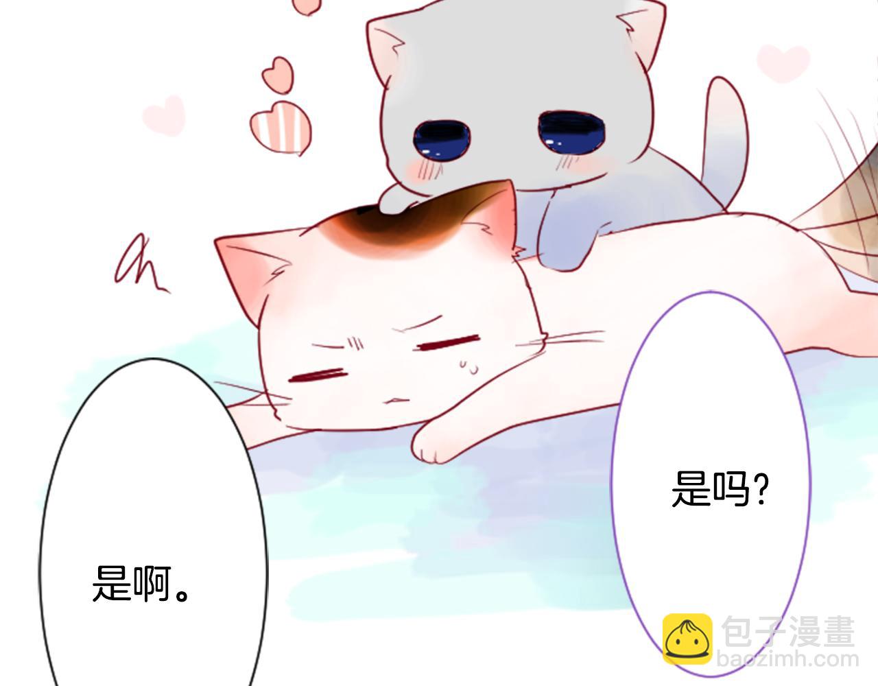 哥哥~請你收養喵 - 第28話 雜物散彈槍(3/4) - 8