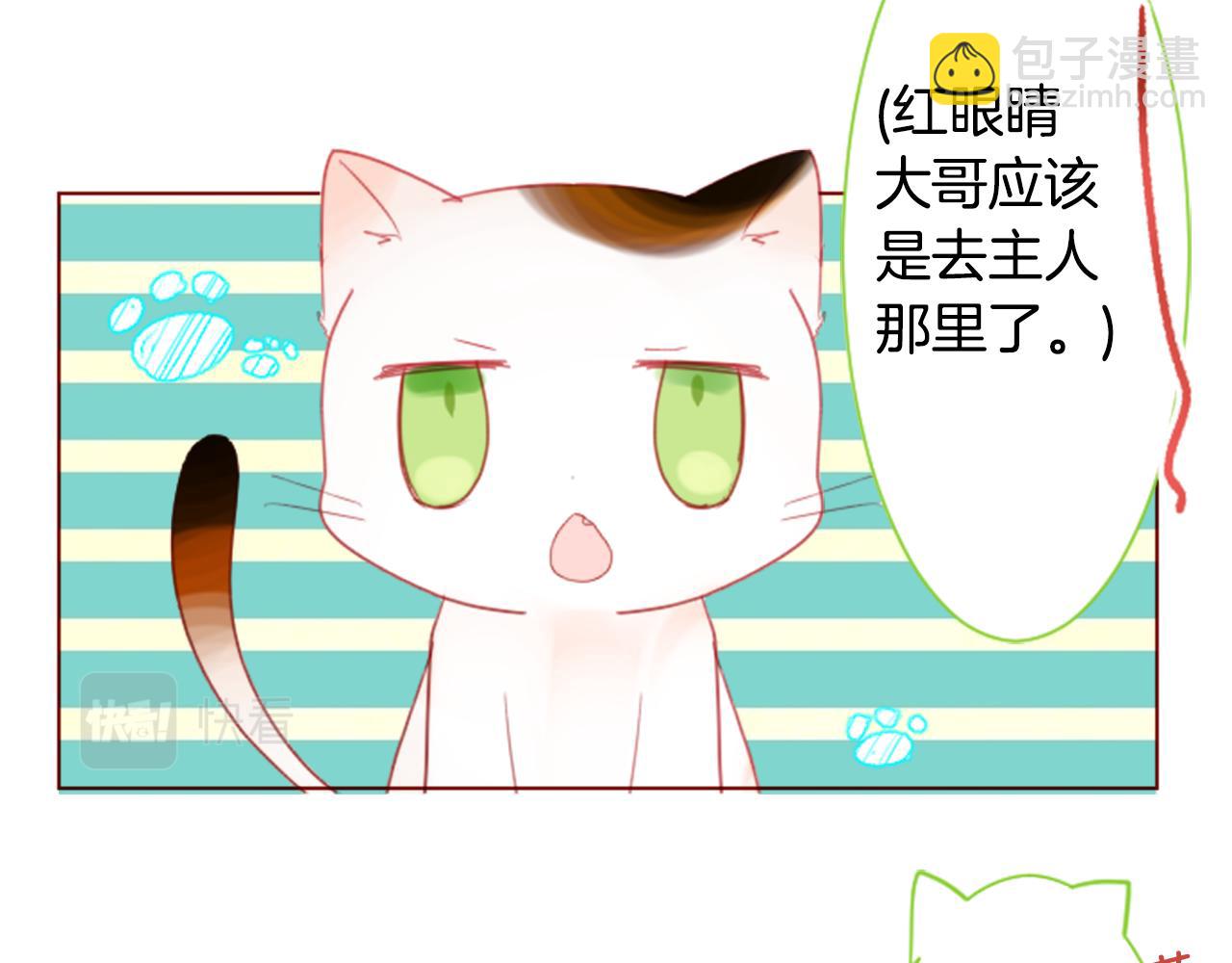 哥哥~請你收養喵 - 第34話 魔法師和惡魔貓2(1/3) - 6