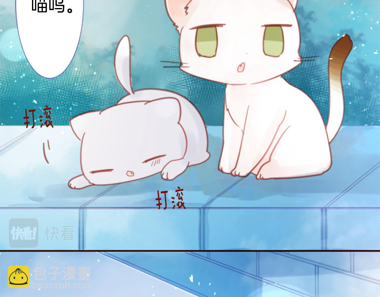 哥哥~請你收養喵 - 第74話 上午7點的哈克貝利(2/3) - 1