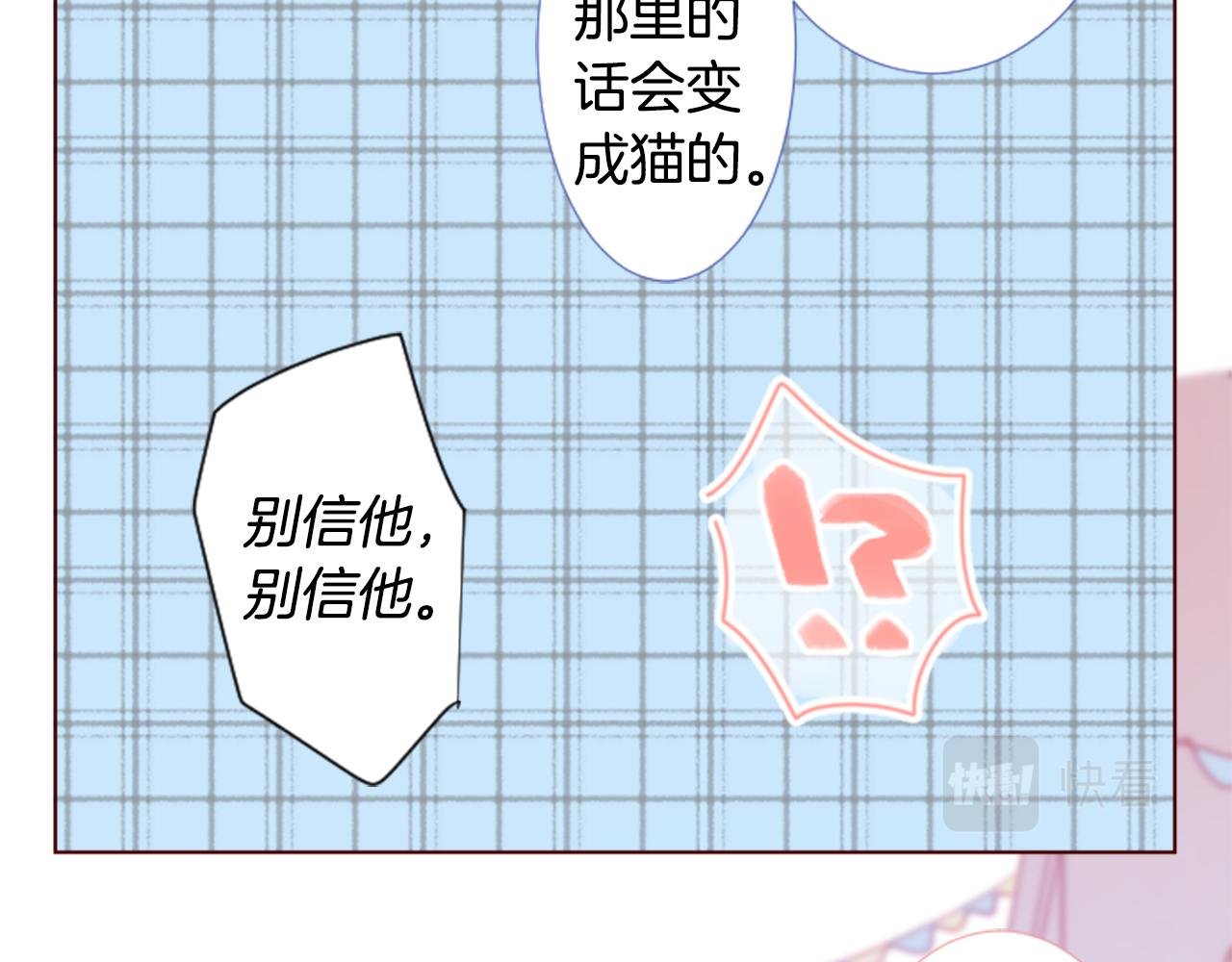 哥哥~請你收養喵 - 第76話 上午8點的小王子2(2/2) - 5