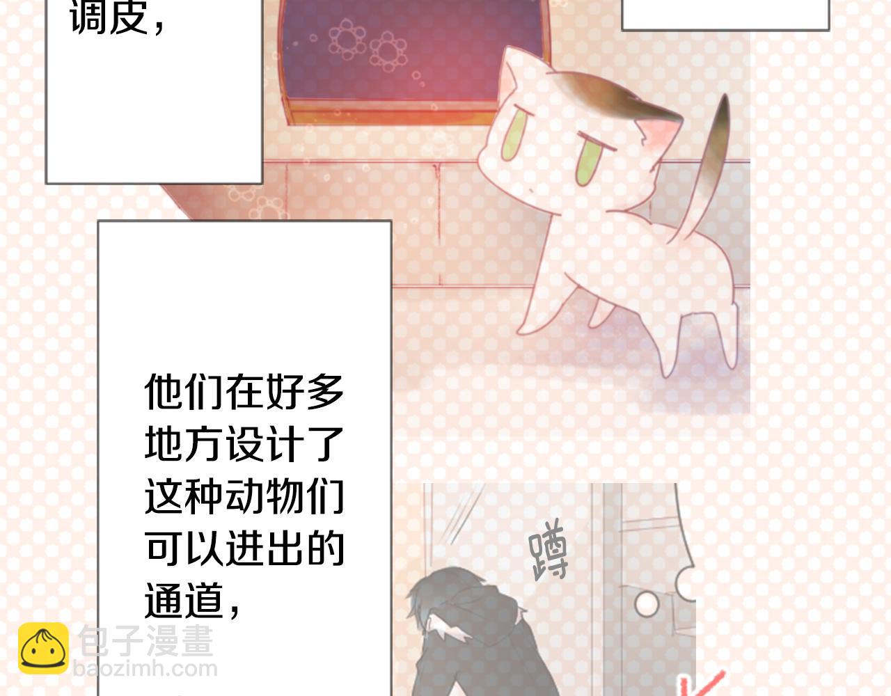 哥哥~請你收養喵 - 第76話 上午8點的小王子2(2/2) - 4