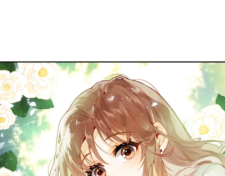 第24话 见面(1/2)-第25话