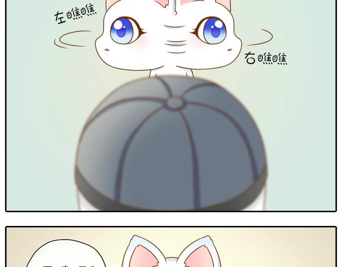 第13话 小狐狸为什么...要躲在...粪桶里...-第13话