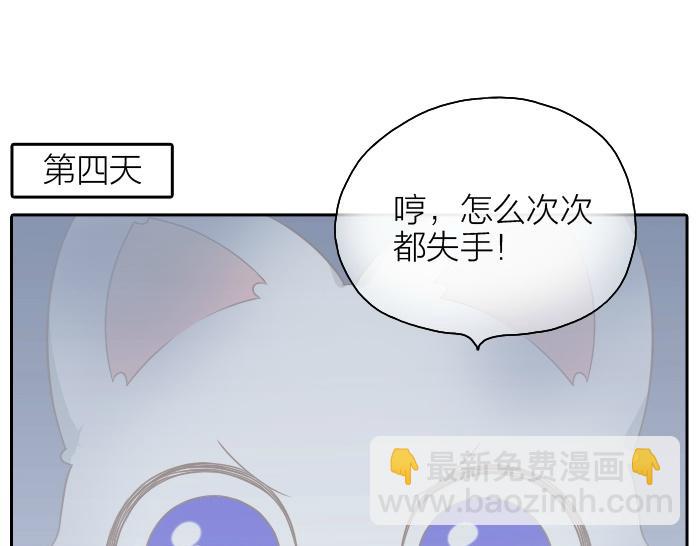 第47话 小狐狸失踪了-第47话