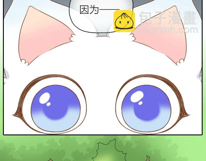 第47话 小狐狸失踪了-第47话