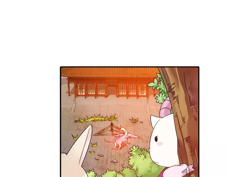 第28话 狙击生肖兽 兔师傅的阴谋(1/3)-第29话