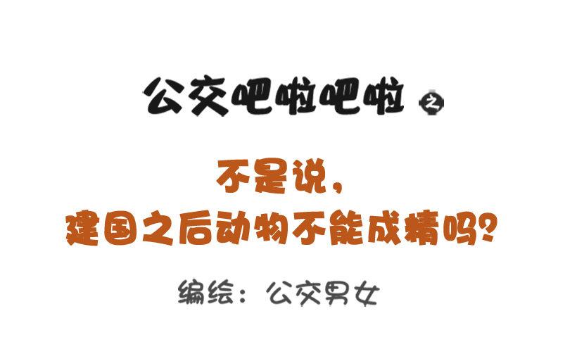 公交男女爆笑漫畫 - 不是說，建國之後動物不能成精嗎？ - 1