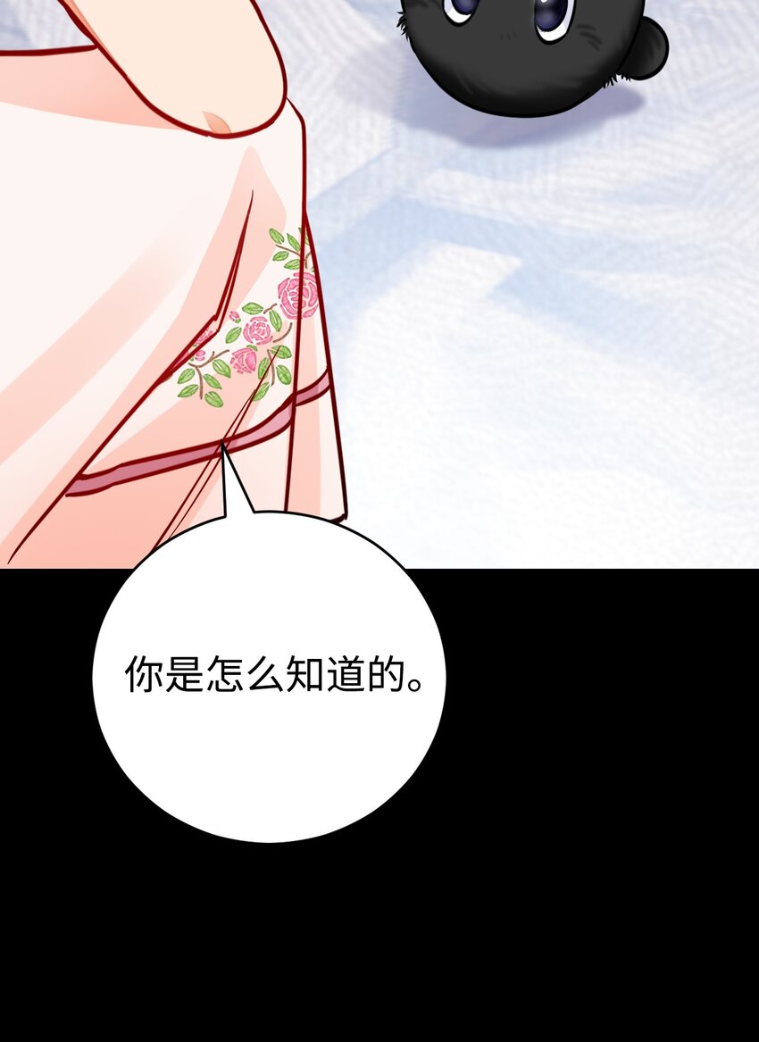 38 调查(1/2)-第39话