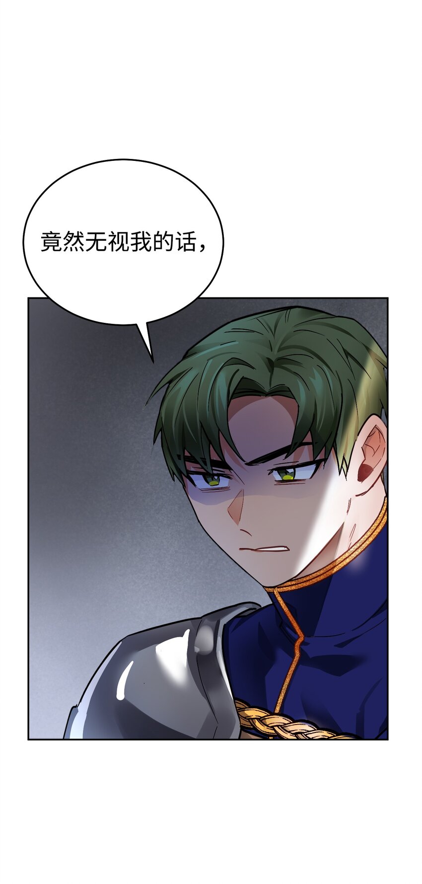 08 来自白关骑士团的挑战(1/2)-第9话