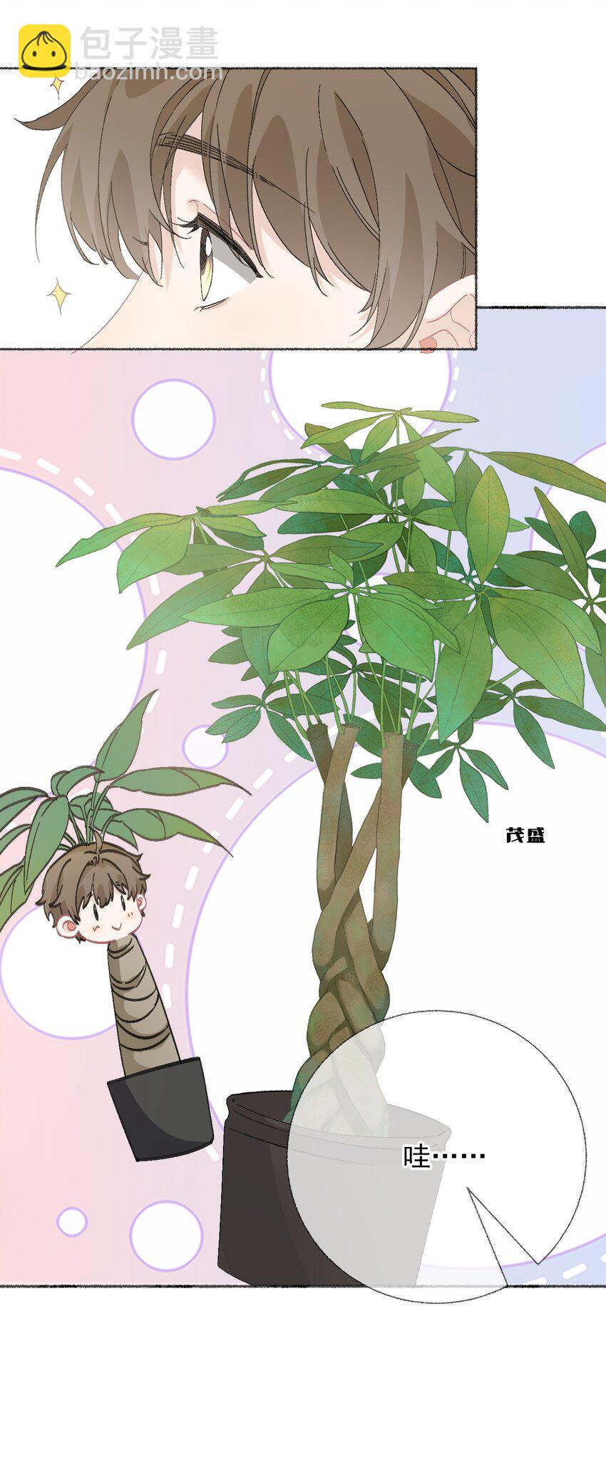 039 那棵树好看吗？-第39话