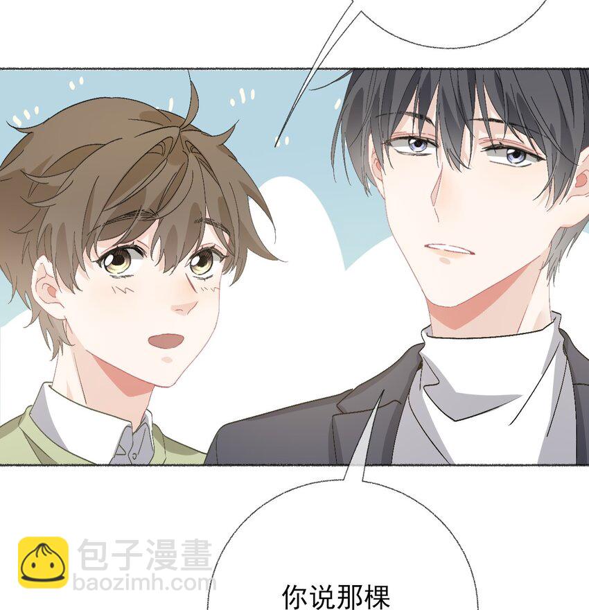 039 那棵树好看吗？-第39话