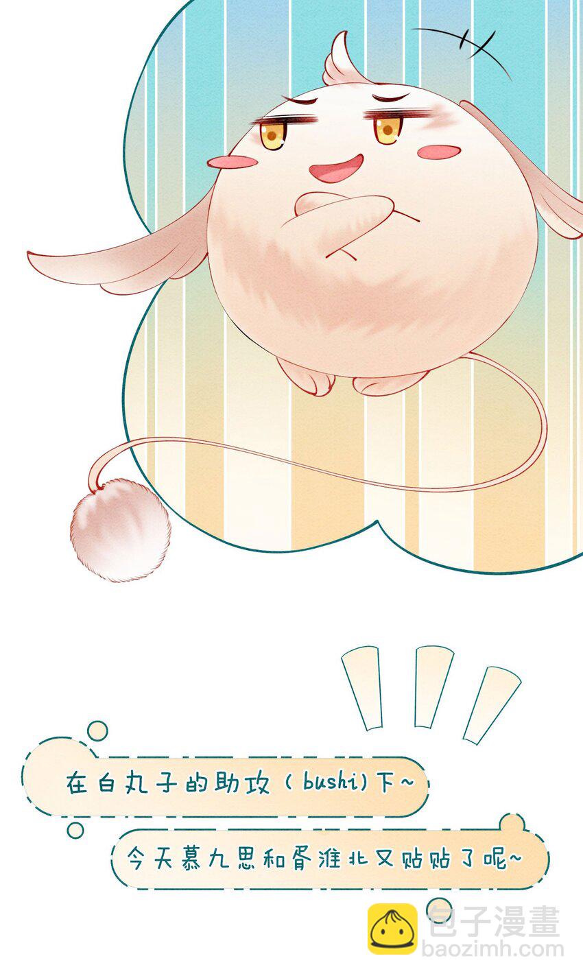 番外 如果胥淮北变成了猫猫-第59话