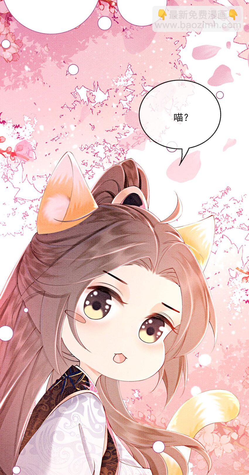 番外 如果胥淮北变成了猫猫-第59话