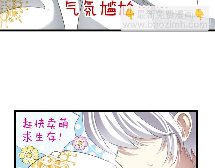 第49话 光辉晨星，沙利菲儿2-第49话