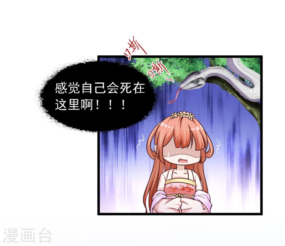 第19话 柳妃的动物园，好怕怕-第21话