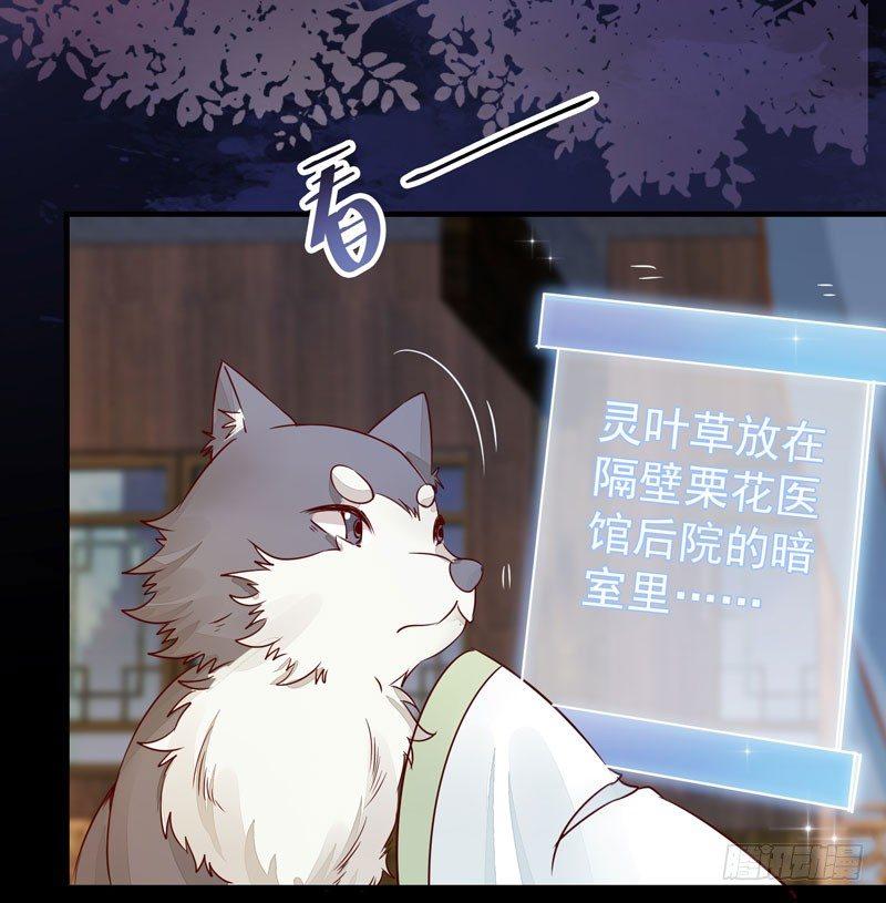 第40话 姬哥哥带我飞-第43话