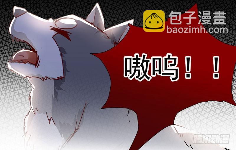 第006话 狼王竟是哈士奇-第7话