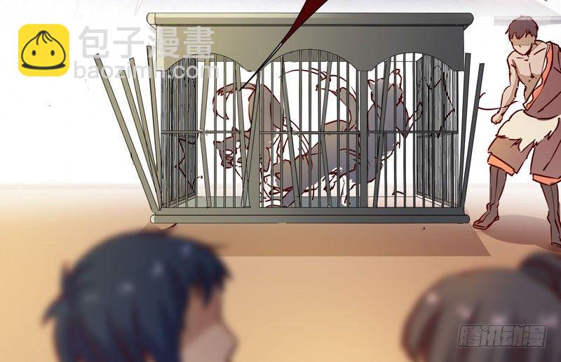 第006话 狼王竟是哈士奇-第7话