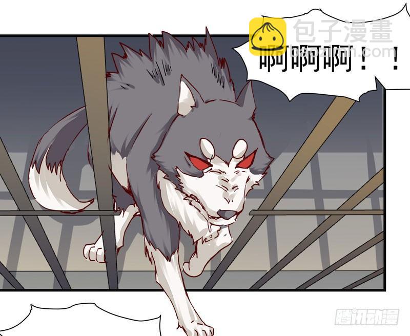 第006话 狼王竟是哈士奇-第7话