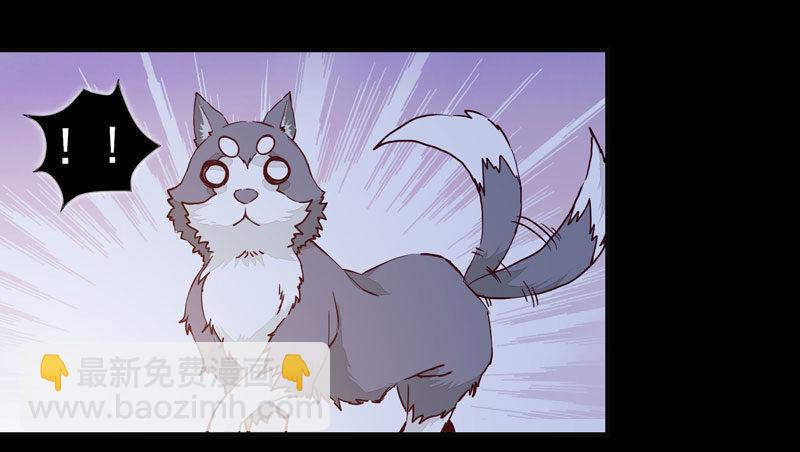 第008话 和我签订契约吧少女-第9话