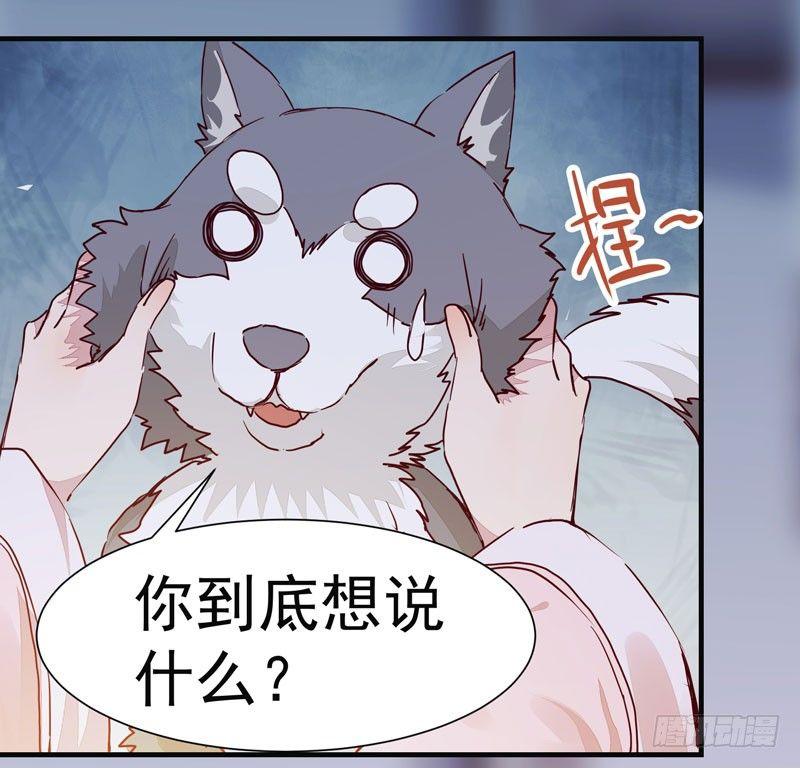 第008话 和我签订契约吧少女-第9话