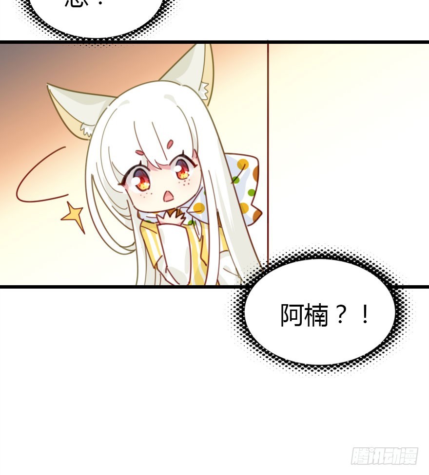 十一特别篇(1/2)-第61话