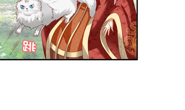 第31话 喵喵喵(1/2)-第31话