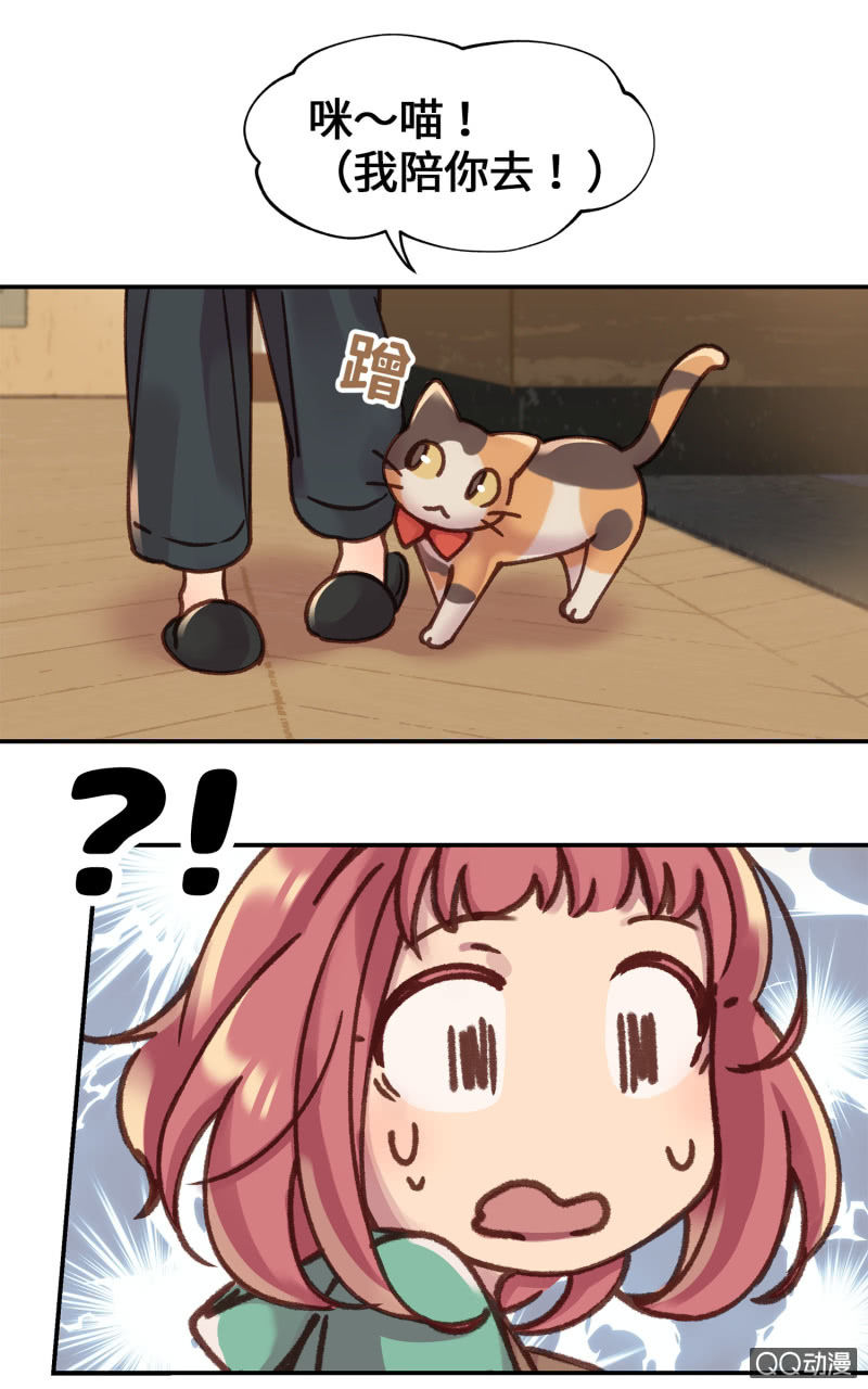 第9杯『猫有失足人有失手』-第11话