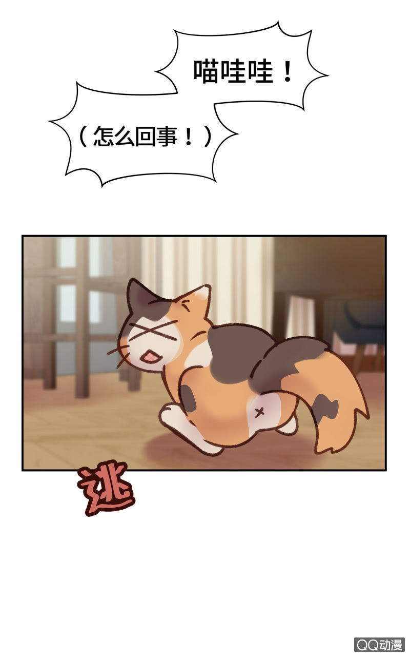 第9杯『猫有失足人有失手』-第11话