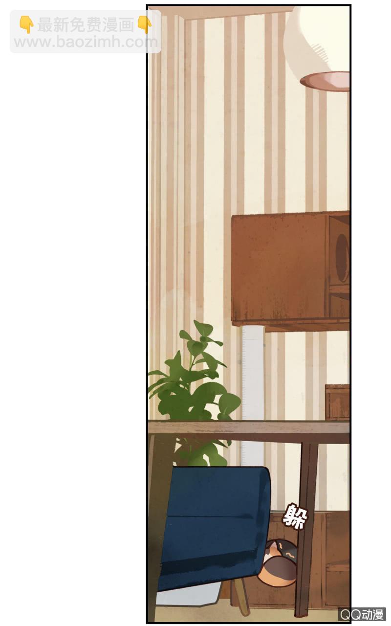 第9杯『猫有失足人有失手』-第11话