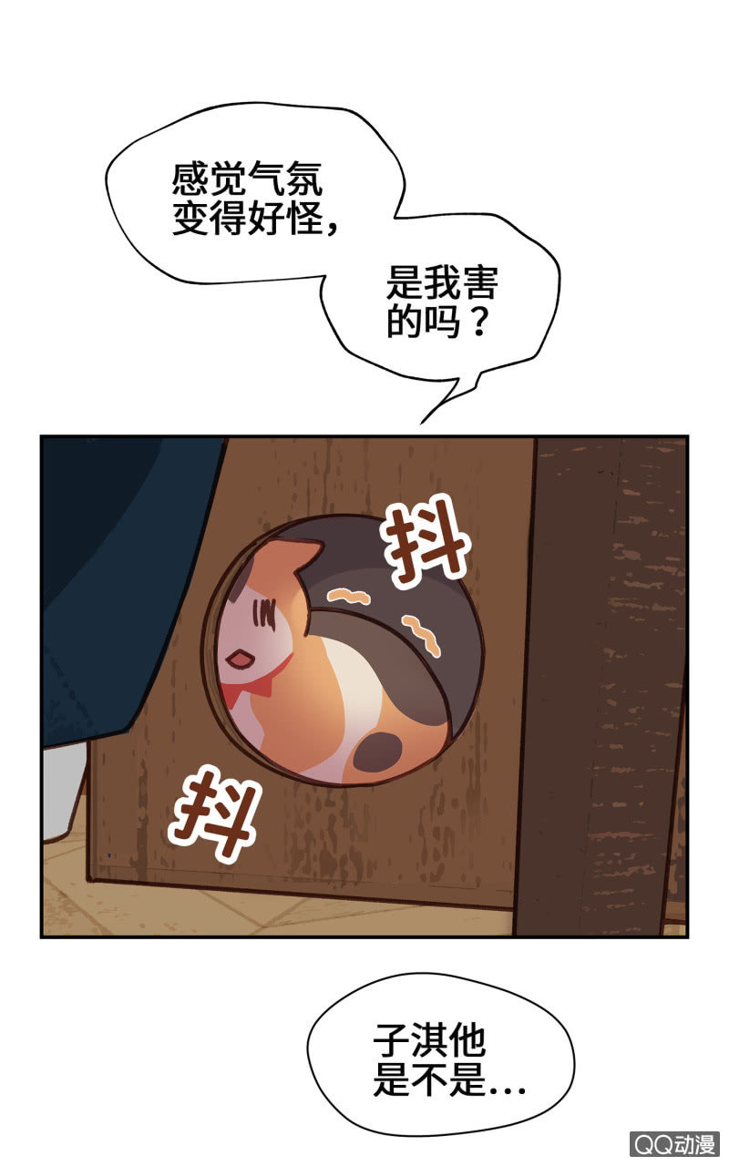 第9杯『猫有失足人有失手』-第11话