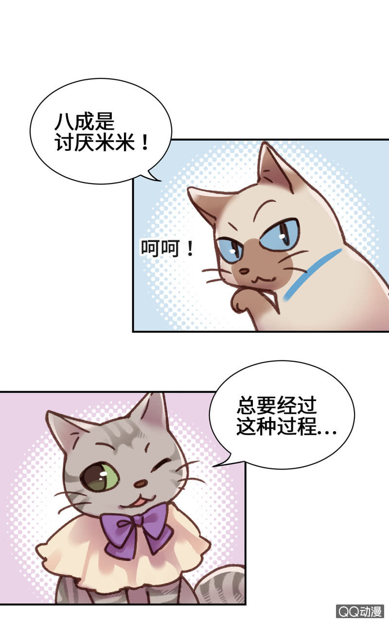 第9杯『猫有失足人有失手』-第11话