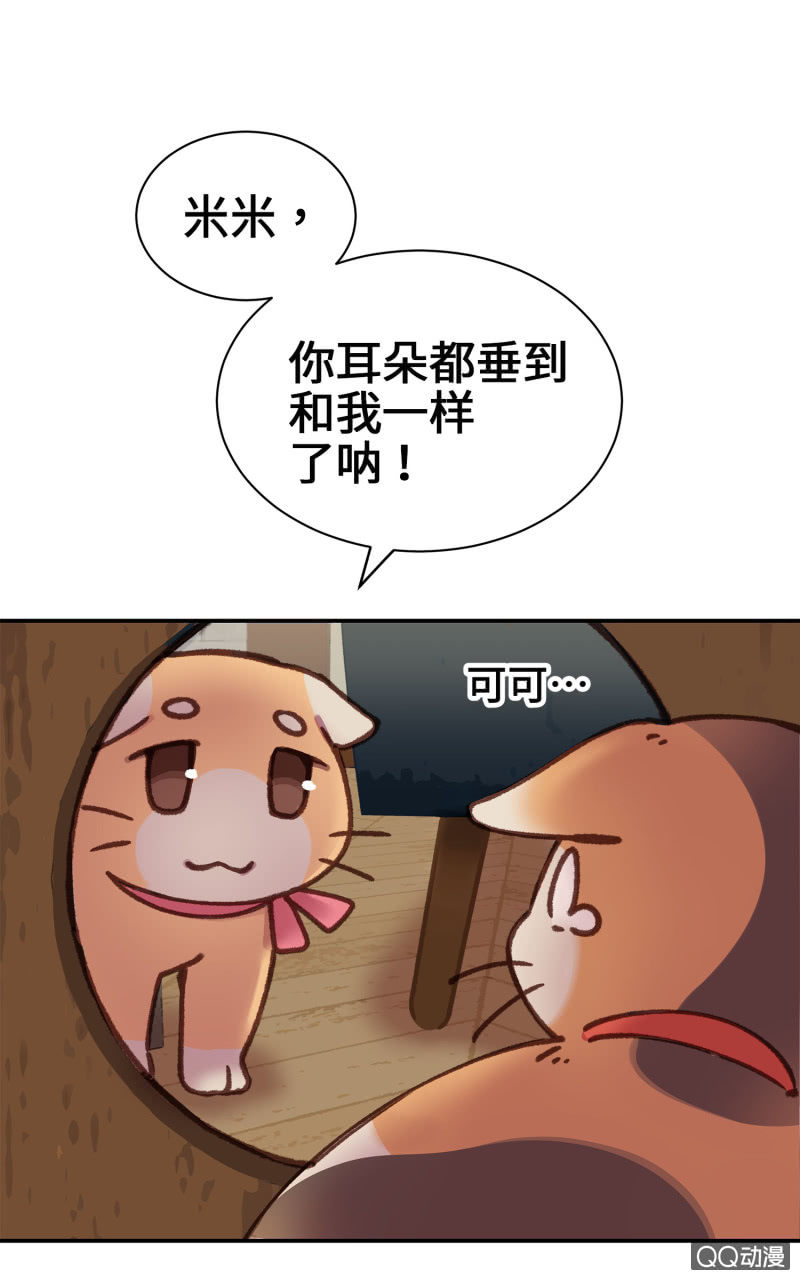 第9杯『猫有失足人有失手』-第11话