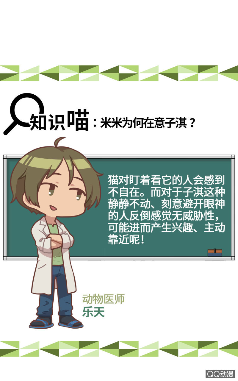 第9杯『猫有失足人有失手』-第11话