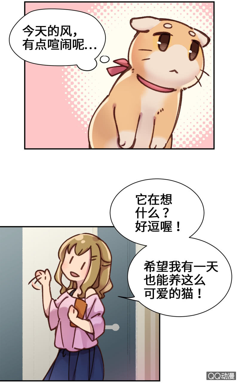 第9杯『猫有失足人有失手』-第11话