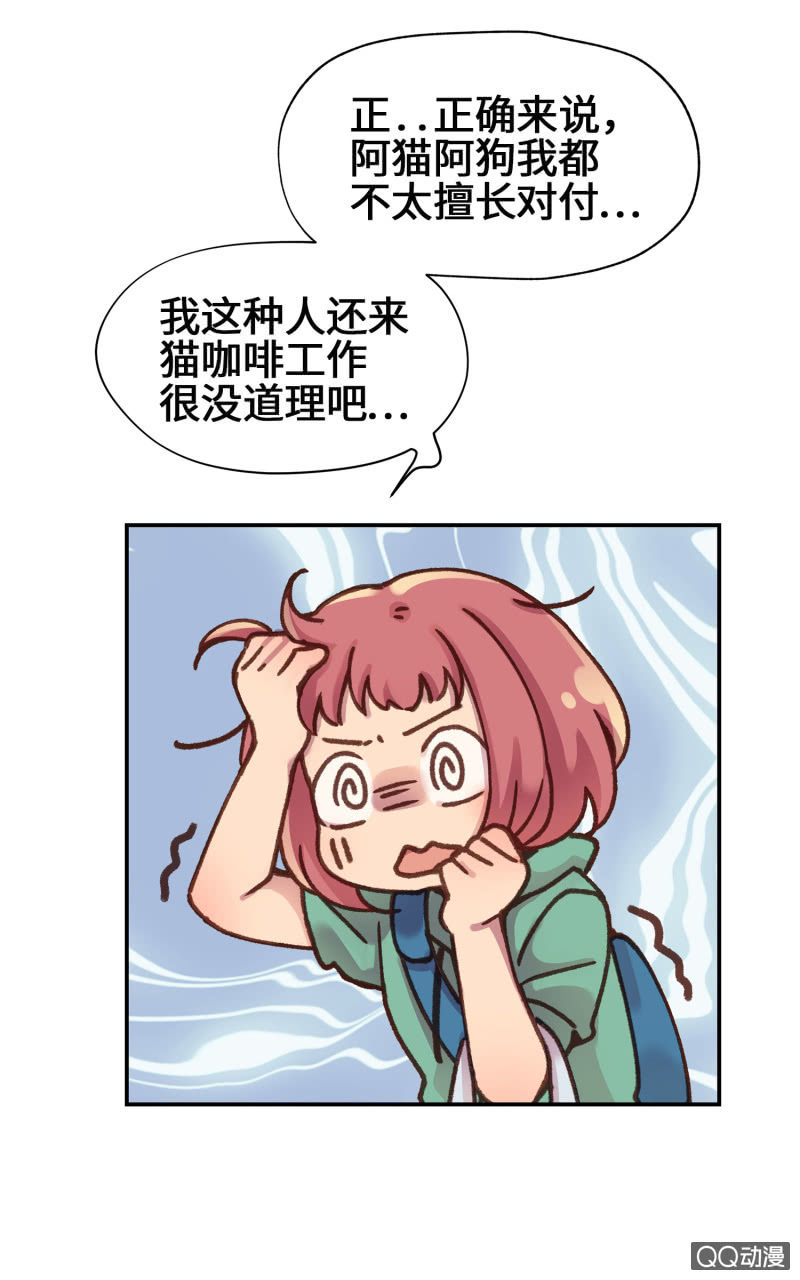 第11杯『雨过天晴』-第13话