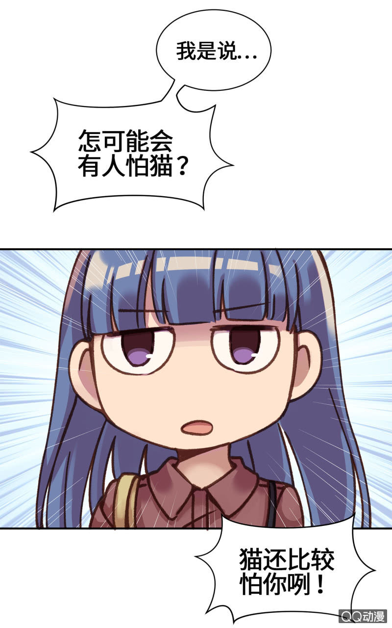 第11杯『雨过天晴』-第13话