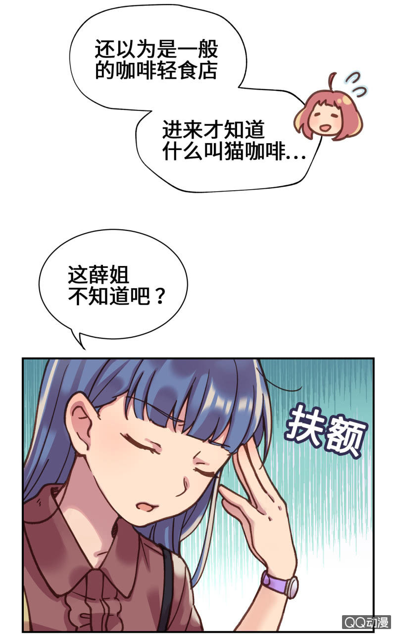 第11杯『雨过天晴』-第13话