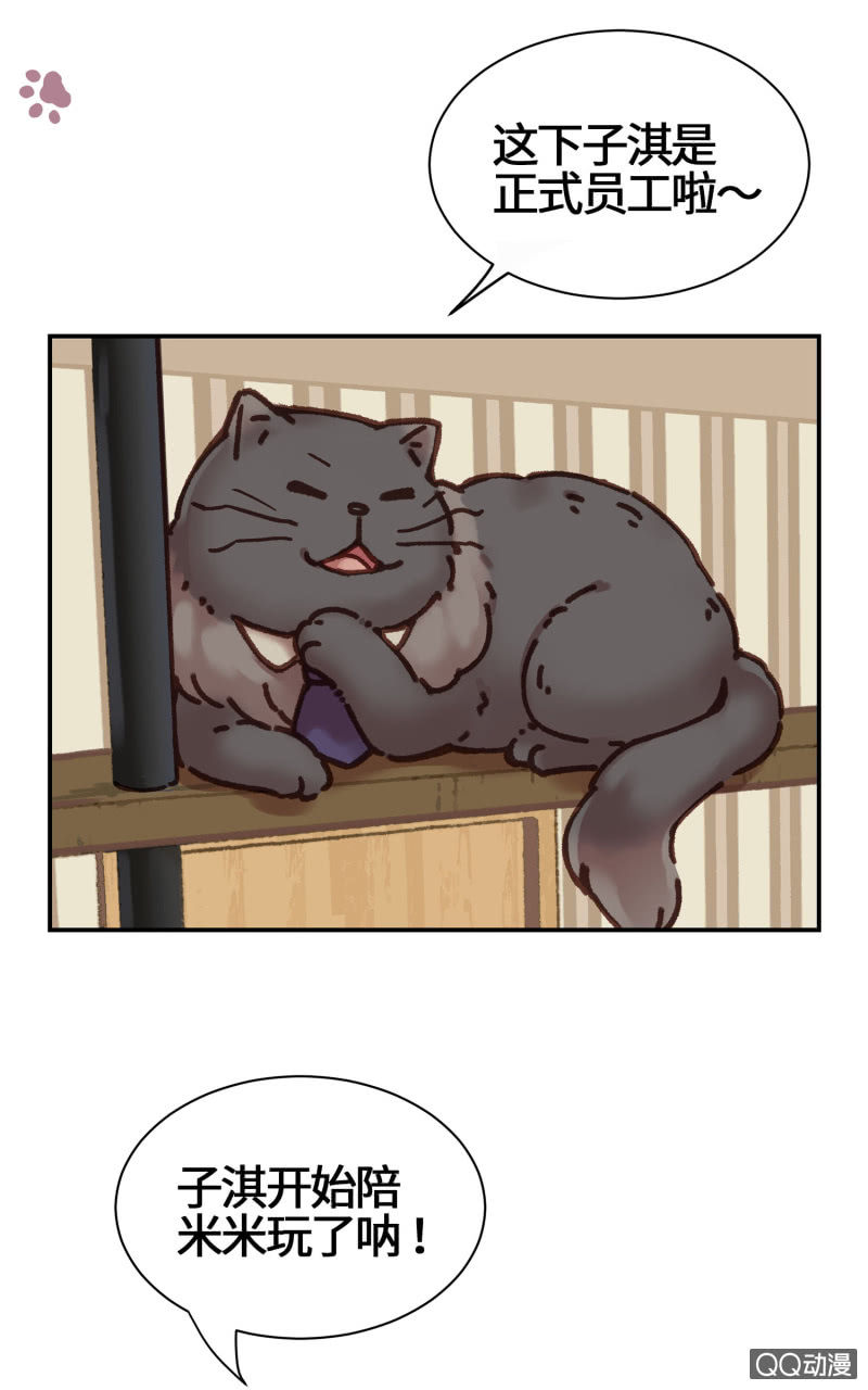 第13杯『新的出发』-第15话