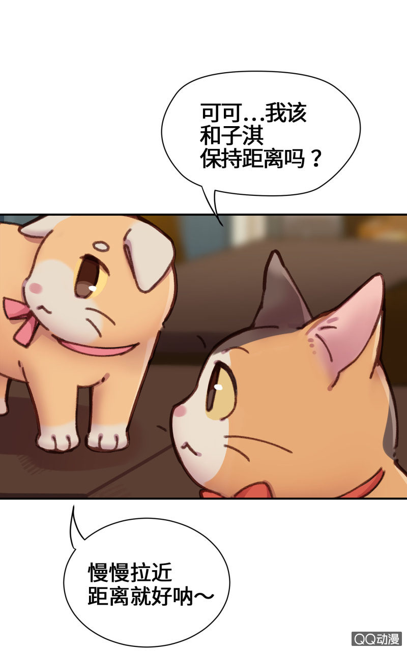 第13杯『新的出发』-第15话