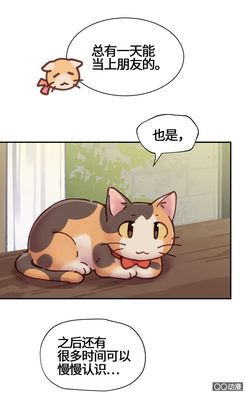 第13杯『新的出发』-第15话