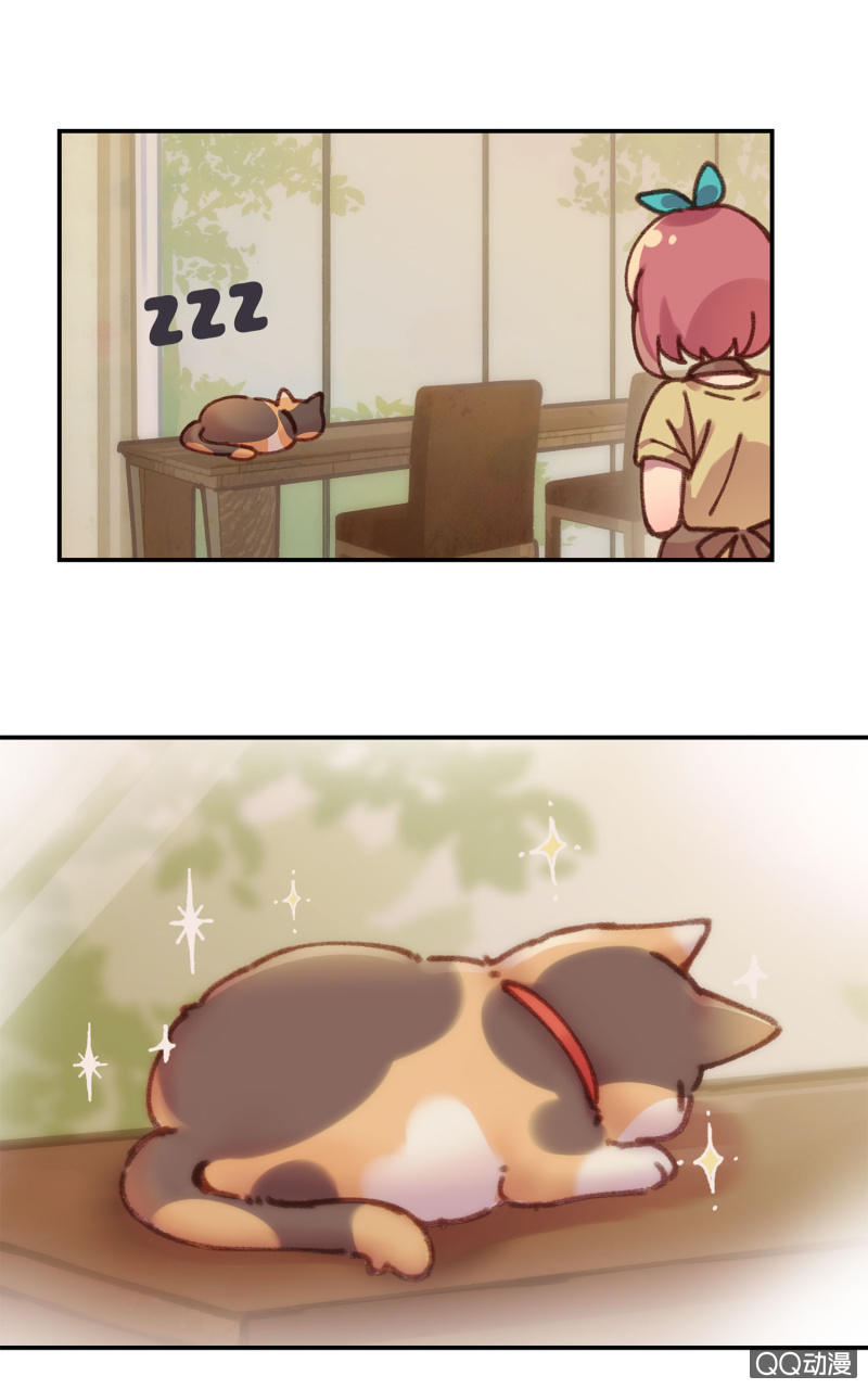 第13杯『新的出发』-第15话