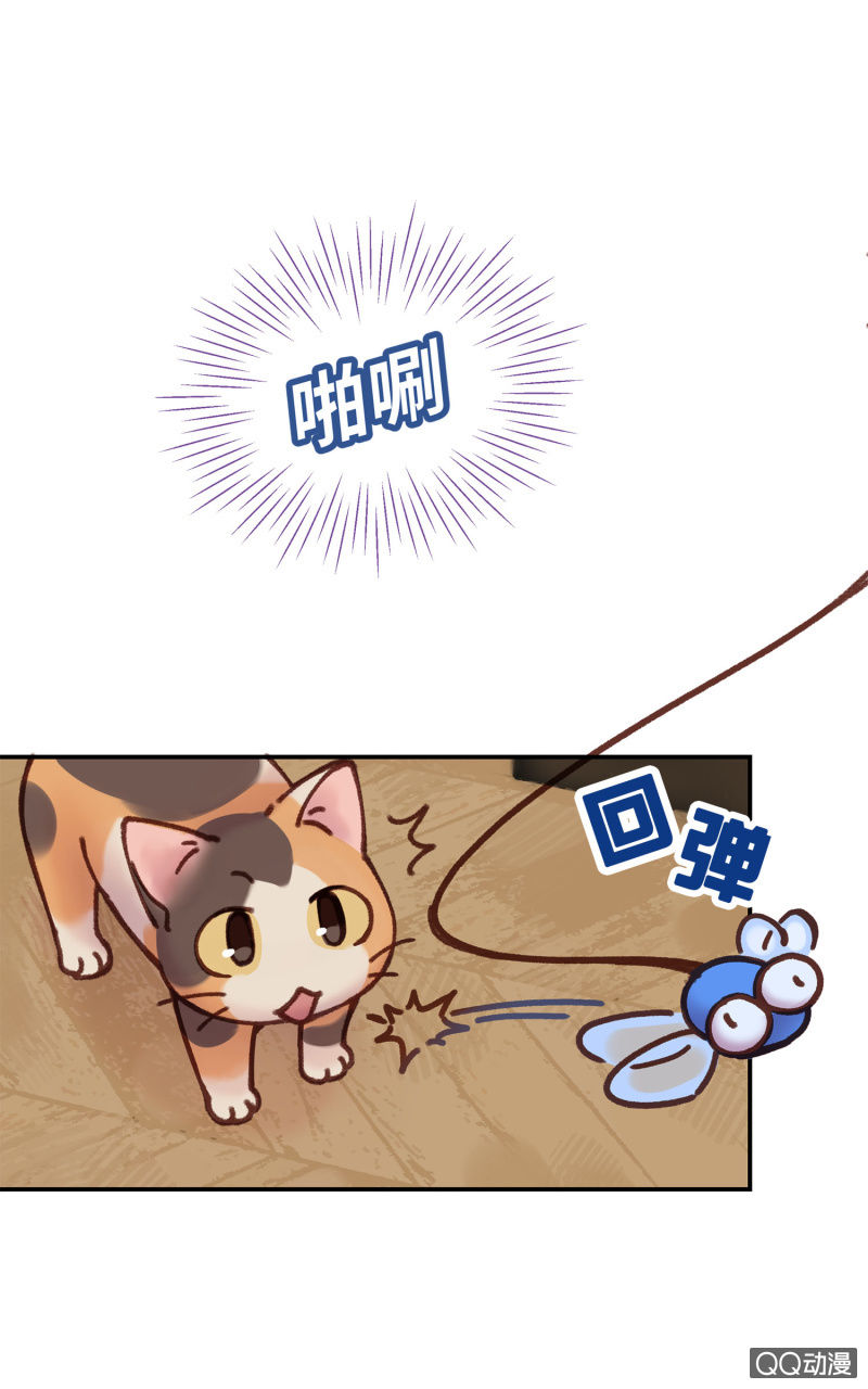 第13杯『新的出发』-第15话